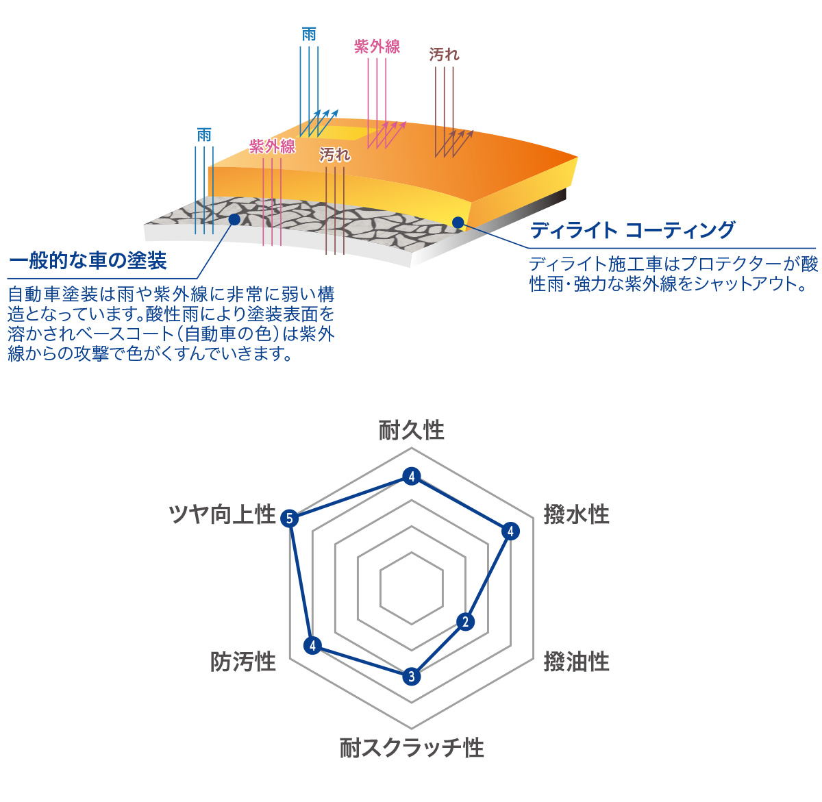 ディライト コーティング 図